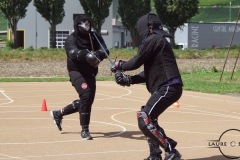 DSC08680_GF